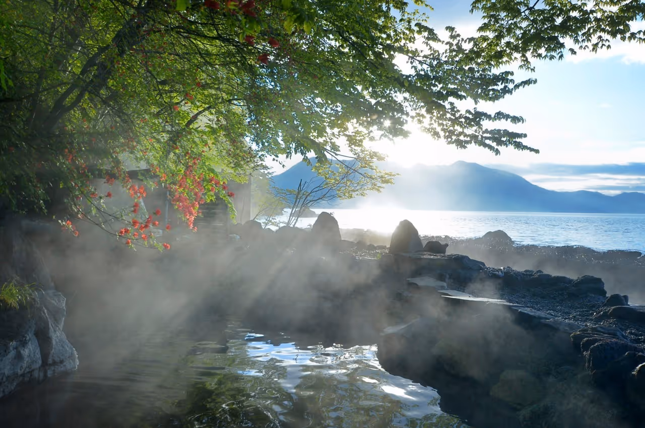 Sunlight filtering through tree branches with red flowers over a steaming hot spring pool by the rocky shore with a mountain backdrop.