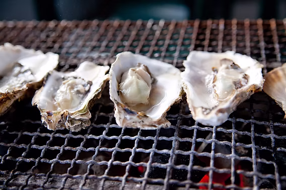 Close-up of oysters grilling on a metal grate over glowing charcoal.