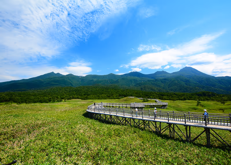 Wooden elevated walkway winding through a green field with mountain range under a blue sky with scattered clouds.