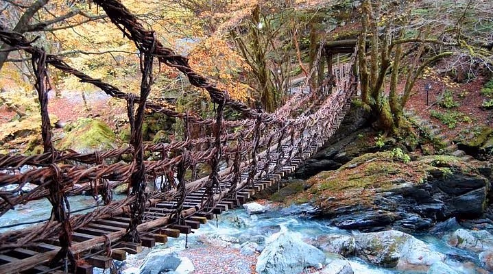 Rustic vine suspension bridge spanning a flowing river surrounded by autumn trees and moss-covered rocks.