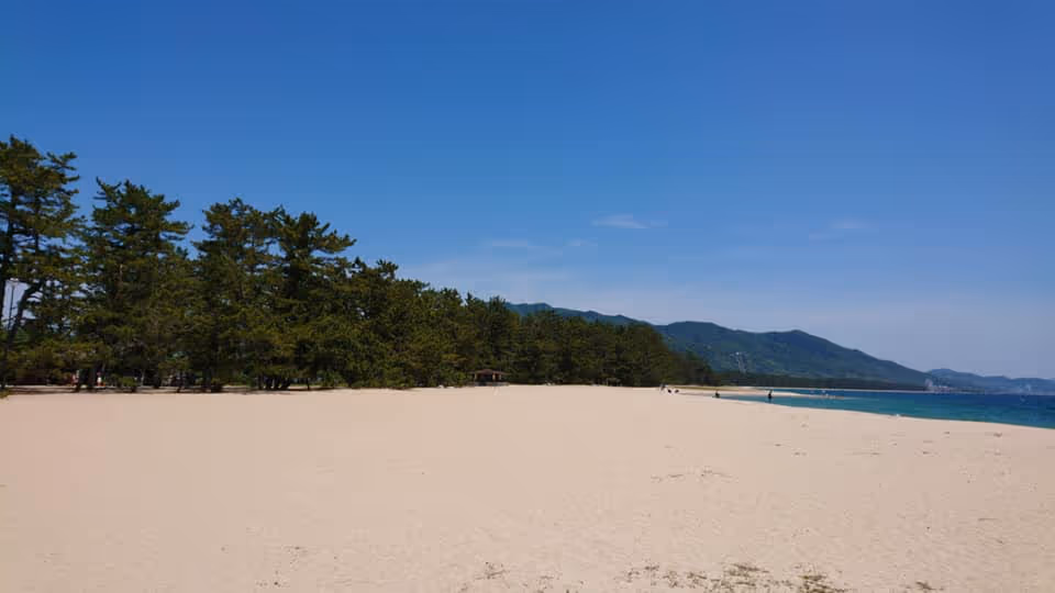 Wide sandy beach with pine trees on the left, calm sea on the right, and distant mountains under a clear blue sky.