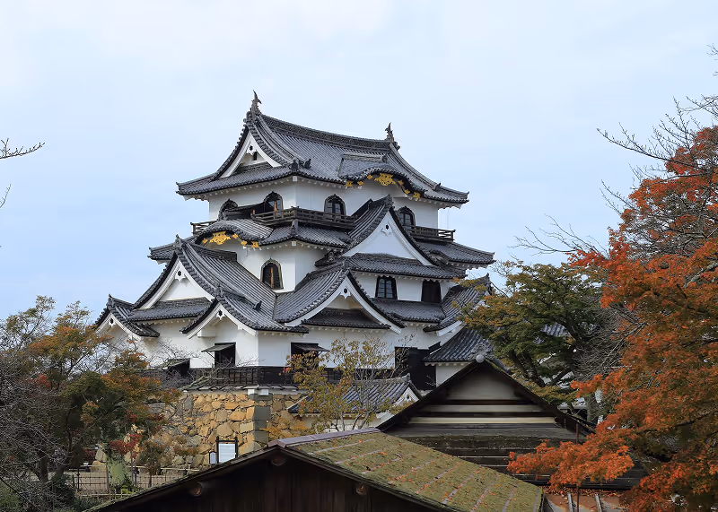 Traditional Japanese castle with multiple tiered gray tiled roofs surrounded by trees with autumn foliage.