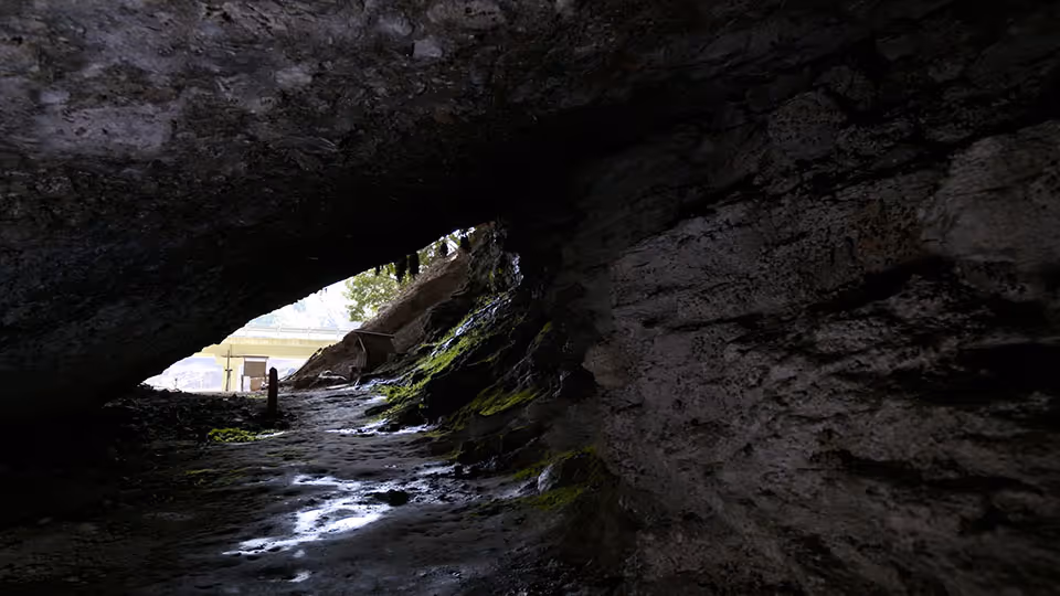 Interior view of a dimly lit cave with moss on rocky surfaces and daylight visible at the entrance.