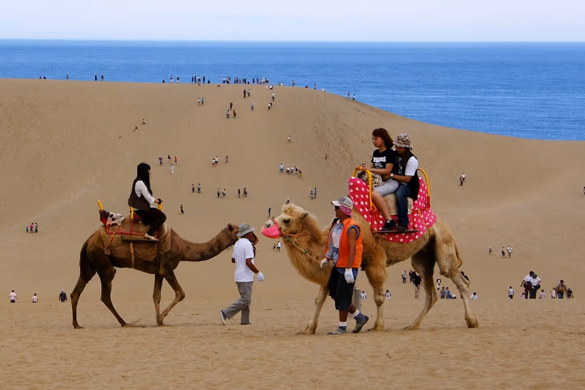 People riding camels and walking on sandy dunes with the ocean in the background.
