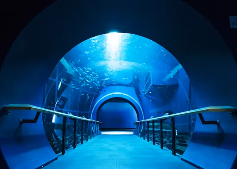 Underwater tunnel in an aquarium with fish swimming above and glass walls on both sides.