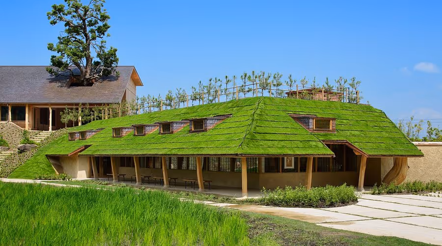 Building with a sloped green roof covered in grass, surrounded by greenery under a clear blue sky.