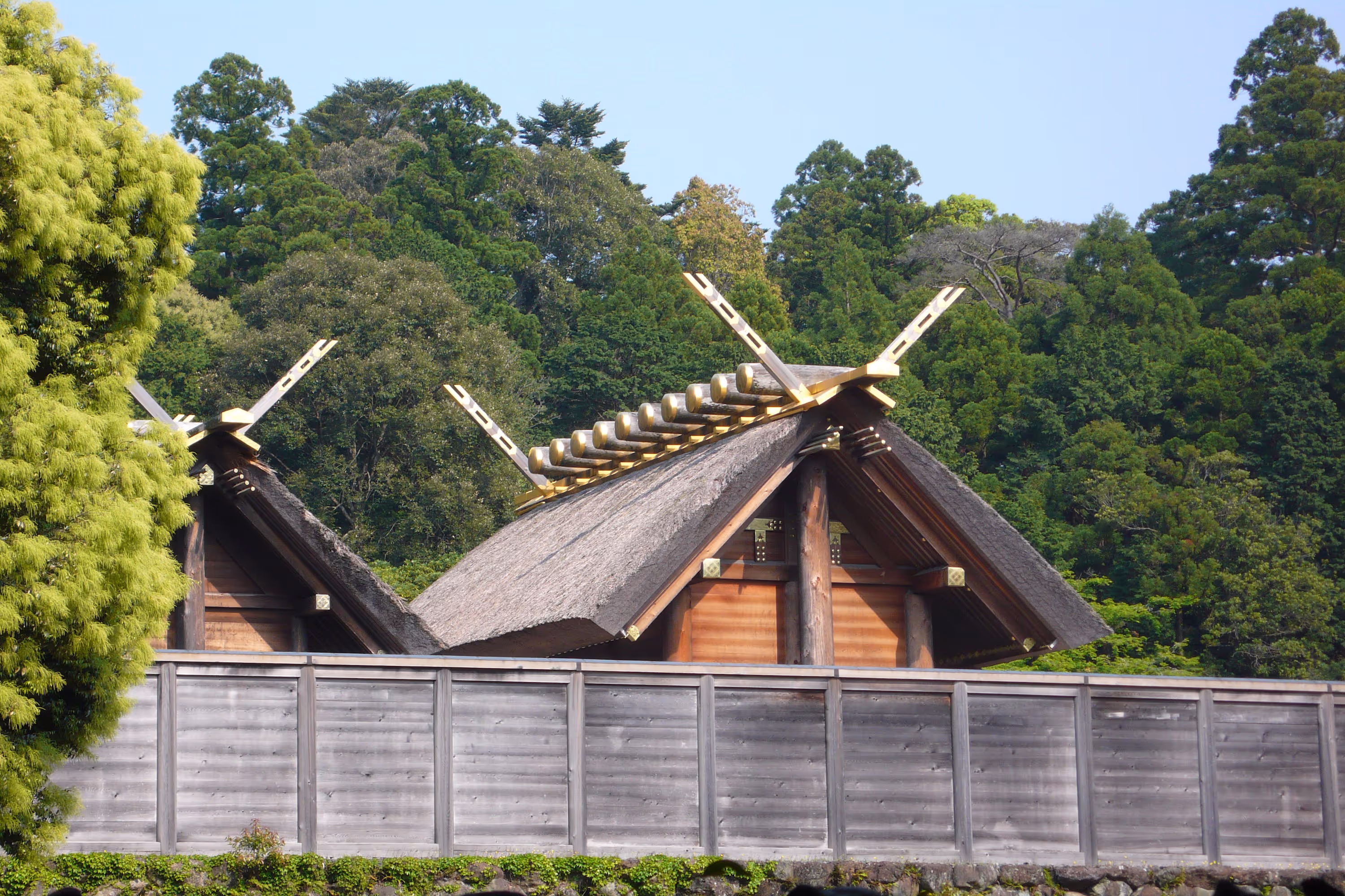 Traditional wooden building with thatched roof and gold accents behind a wooden fence, surrounded by lush green trees.