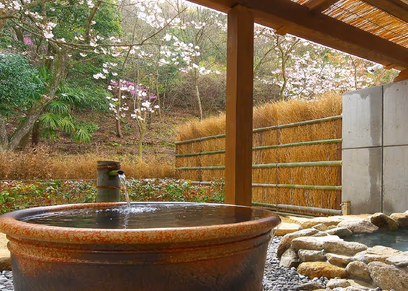 Outdoor Japanese onsen bath surrounded by natural wooden and stone structures with cherry blossoms and greenery in the background.
