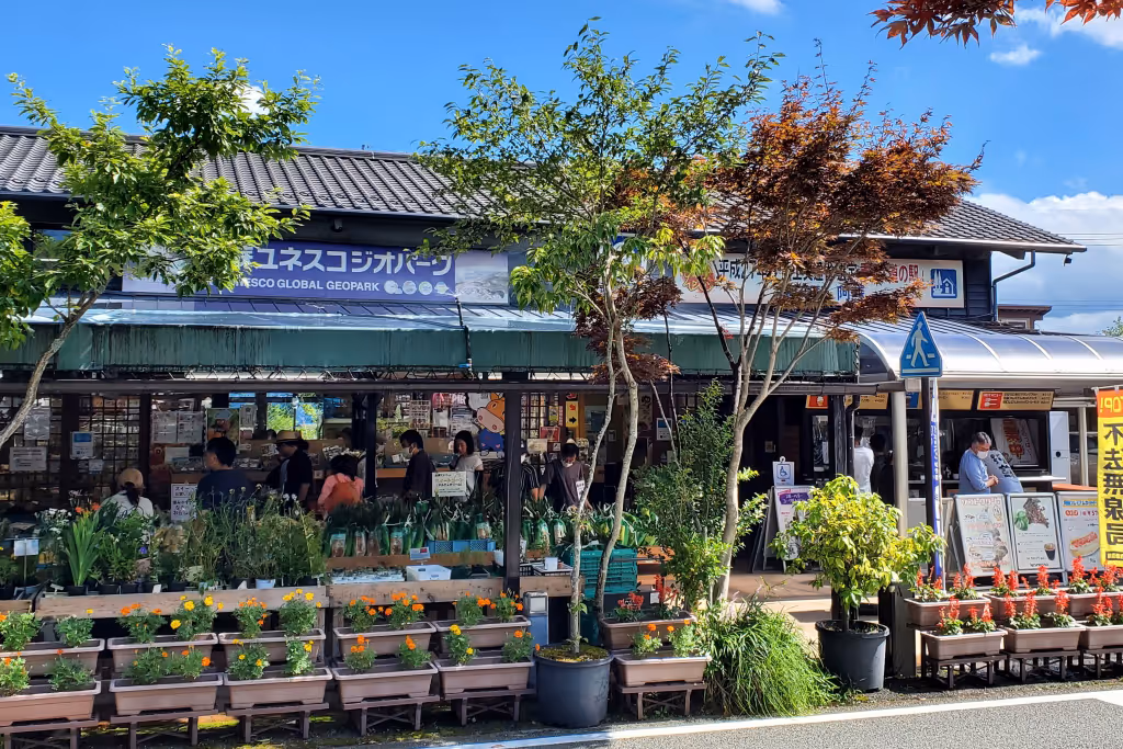 A roadside station market with people shopping for fresh plants and vegetables under a partly shaded roof, with trees and potted flowers in front.