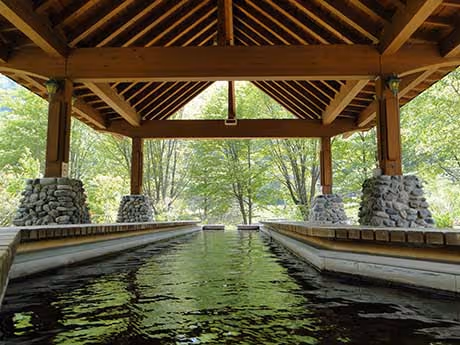 Covered hot spring pool with wooden beams and stone pillars surrounded by green trees.