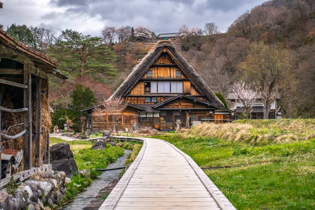 Wooden walkway leading to a traditional triangular thatched-roof house surrounded by green grass and trees with blossoming flowers.