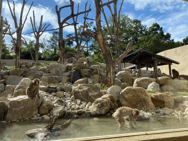Two Japanese macaques in a rocky enclosure with water and leafless trees under a partly cloudy sky.
