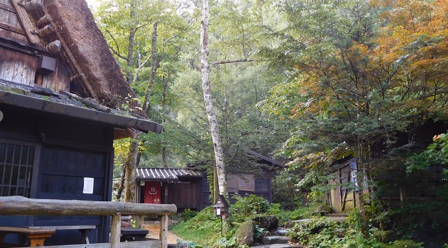 Traditional wooden buildings with thatched roofs surrounded by lush green trees in a forest setting.
