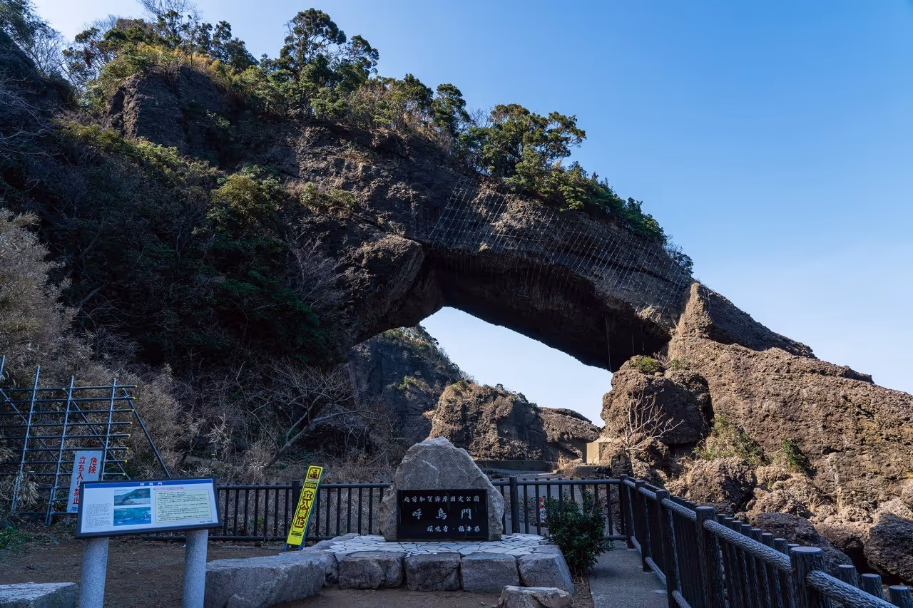 Large natural rock arch bridge with greenery on top under a clear blue sky, viewed from a fenced viewpoint with informational signs in front.