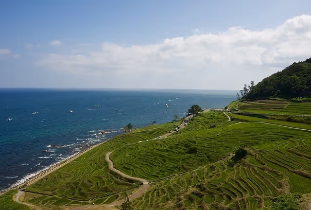 Terraced green rice fields along the coast with the ocean and scattered boats under a partly cloudy sky.