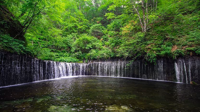 Wide, curved waterfall flowing gently into a clear pool surrounded by lush green forest.