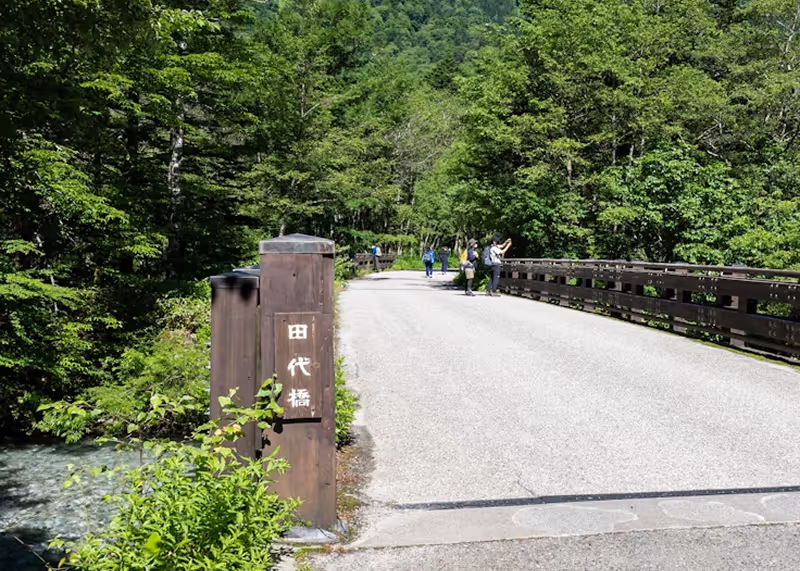 Wooden pedestrian bridge over clear water surrounded by dense green forest with several people walking and taking photos.
