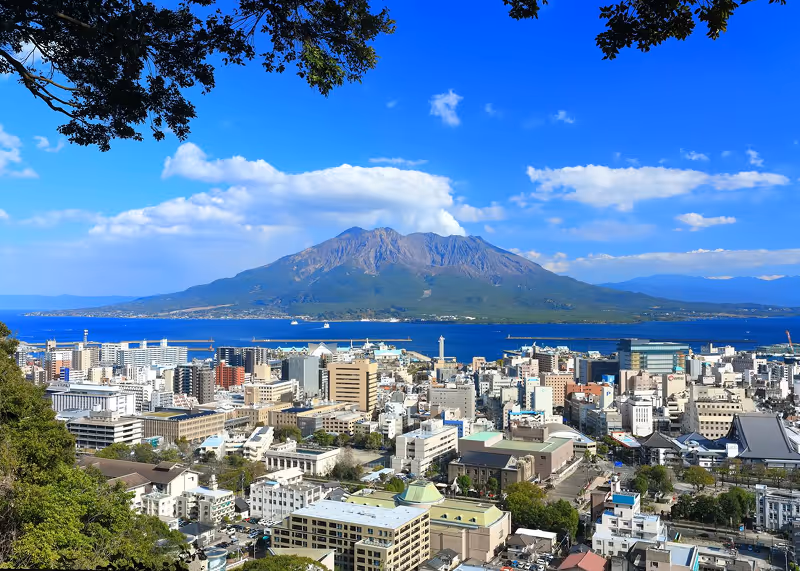 Cityscape with buildings in front of a blue bay and a large volcanic mountain under a bright blue sky with scattered clouds, framed by tree branches.