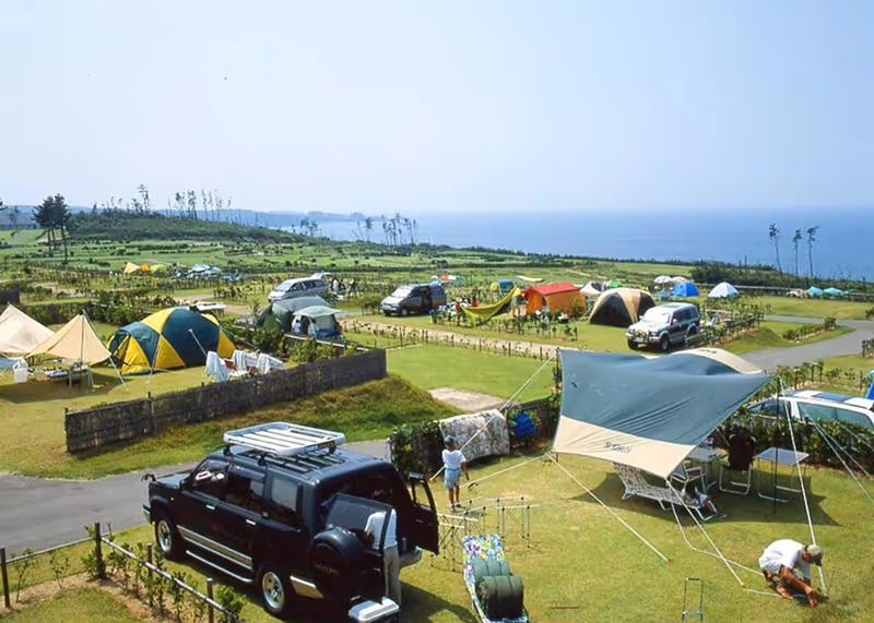 Campground near the sea with multiple tents, camping equipment, and parked vehicles on grassy plots.