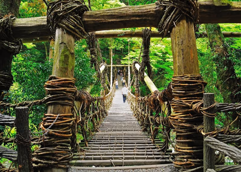 Traditional wooden suspension bridge wrapped with vines, crossing a lush green forest with people walking in the distance.
