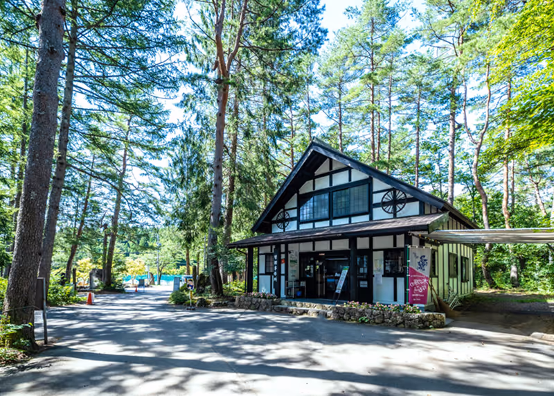Traditional black and white lodge-style building surrounded by tall pine trees on a sunny day at a forest campsite.