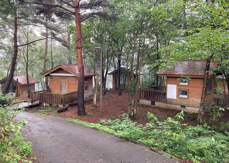 Small wooden cabins with porches surrounded by green trees next to a paved path in a forested area.