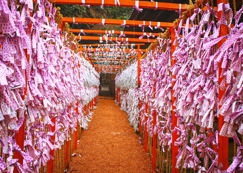 Pathway lined with red wooden frames covered in pink and white polka-dotted prayer plaques at a Japanese shrine.