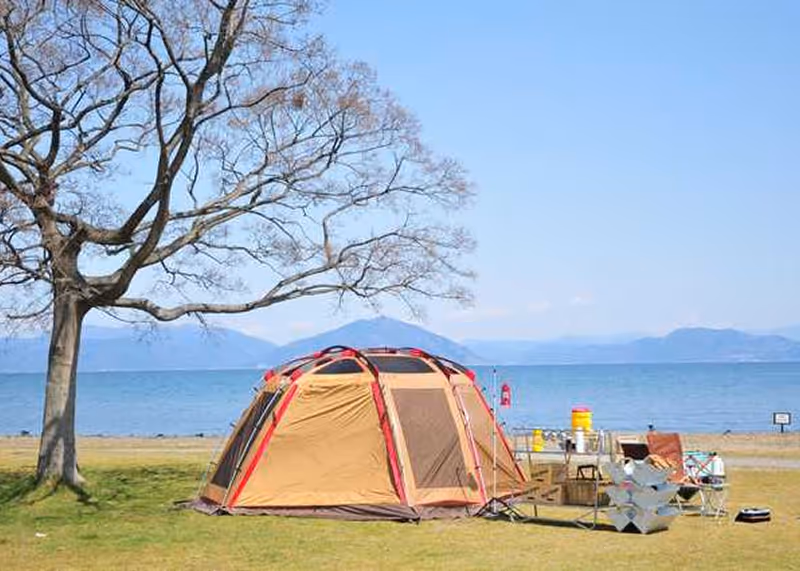 Brown camping tent set up on grassy area near a large bare tree with lake and mountains in the background.
