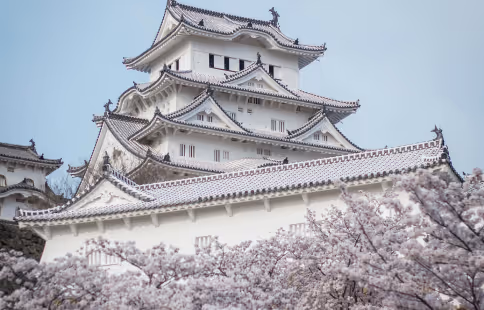 Traditional Japanese castle with tiered roofs behind blooming cherry blossom trees under a clear sky.