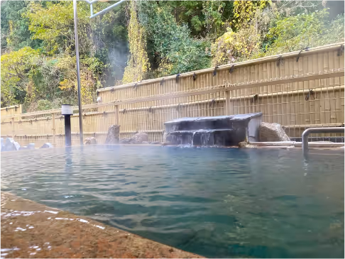 Outdoor hot spring pool with steaming water, surrounded by trees and a wooden fence.