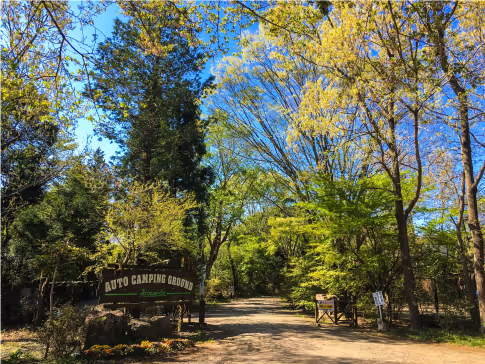 Entrance to Arnomien Auto Camping Ground surrounded by tall trees and greenery under a clear blue sky.