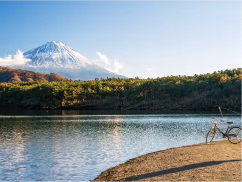Bicycle parked by a calm lake with green trees and a snow-capped mountain in the background under a clear blue sky.