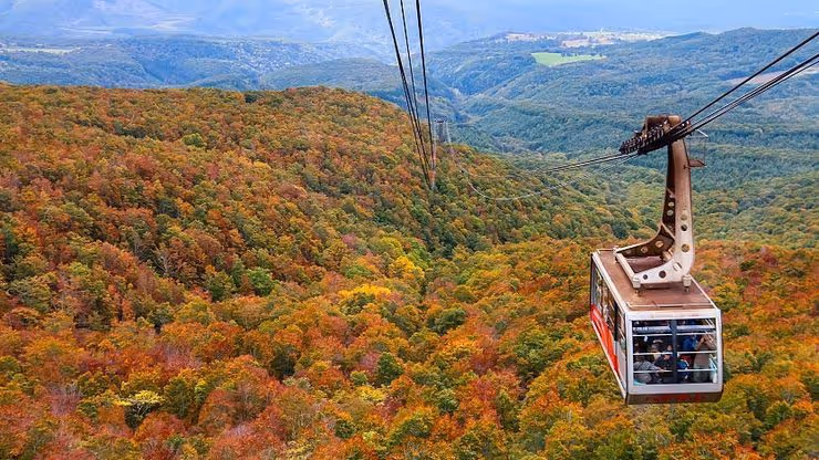 Cable car ascending over a forested mountain displaying vibrant autumn colors.