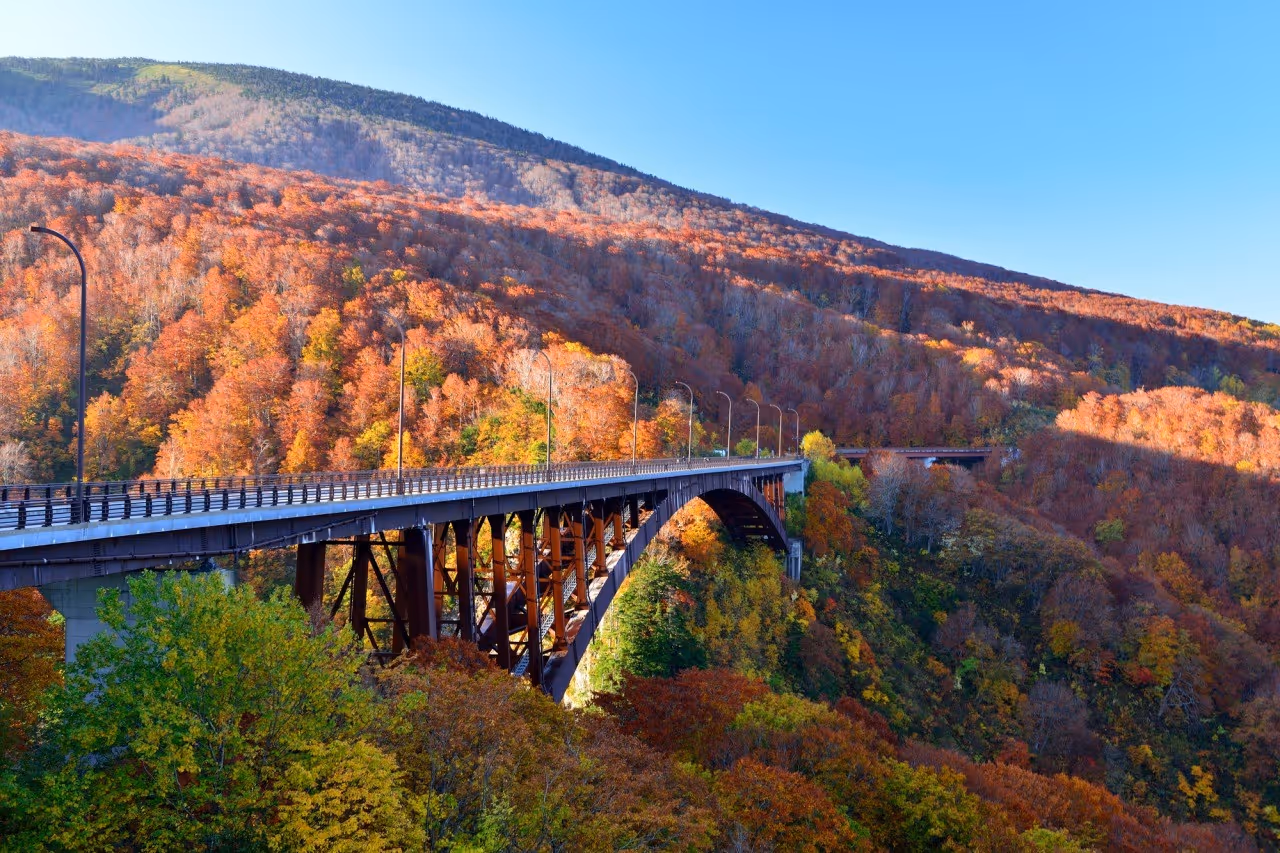 Steel arch bridge spanning a valley with vibrant autumn foliage on surrounding trees under clear blue sky.
