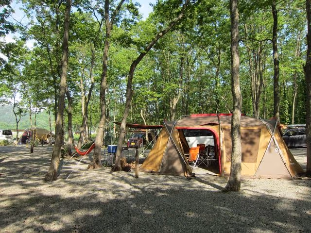 Camping site with large tan tents and a hammock set among tall trees with green leaves.