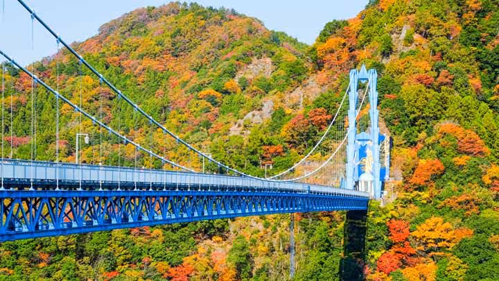 Blue suspension bridge extending across a valley with lush green and autumn-colored trees covering the hillsides.