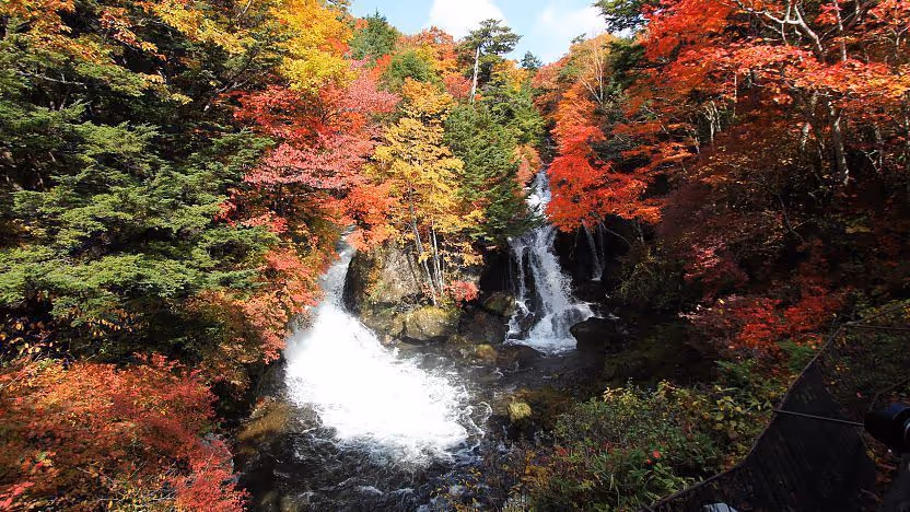 Two waterfalls flowing through a forest with vibrant autumn foliage in red, orange, and yellow.