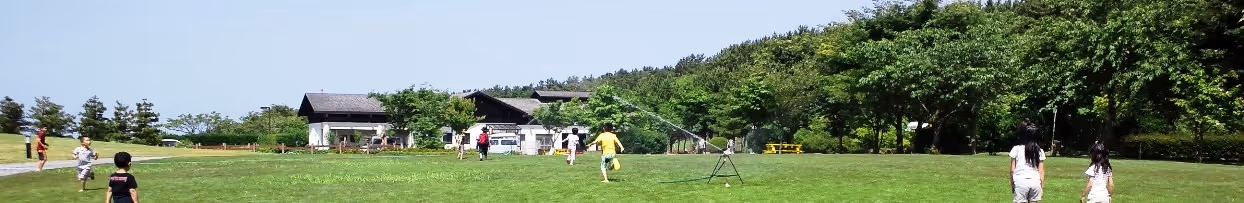 Children playing on a large green lawn with houses and trees in the background under a clear sky.