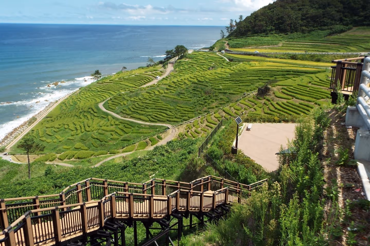 Wooden stairway leading down to terraced green rice fields by the ocean under a partly cloudy sky.