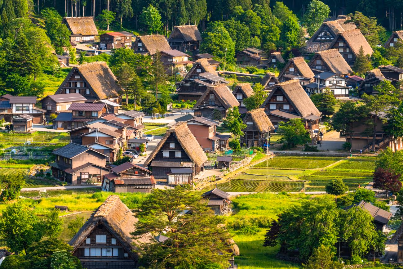 Traditional Japanese village with thatched roof houses surrounded by lush greenery and rice fields.