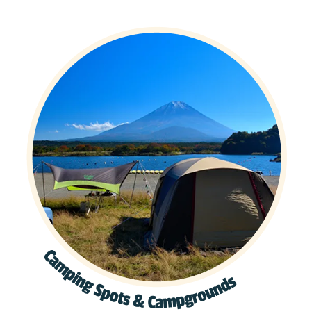 Camping tents set up on grassy shore with calm lake and snow-capped mountain in the background under a clear blue sky.
