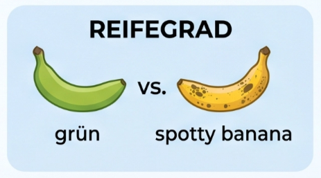 Reifegrad Banane grün vs. reif