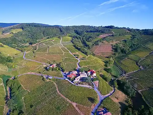 image ville Chiroubles