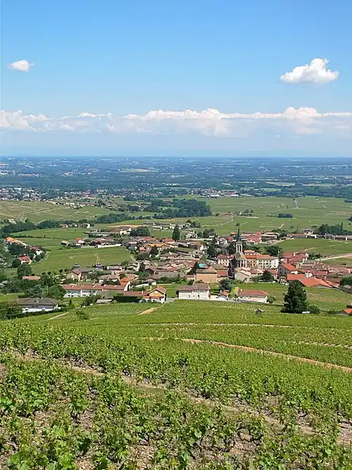 image ville Fleurie