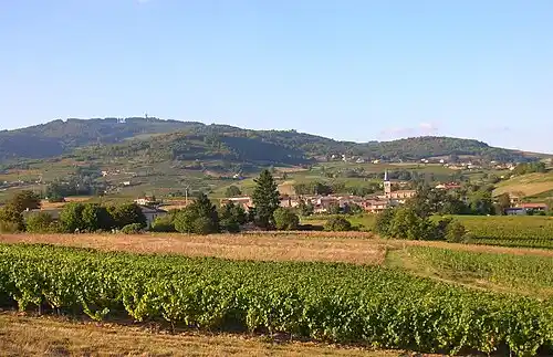 image ville Lantignié
