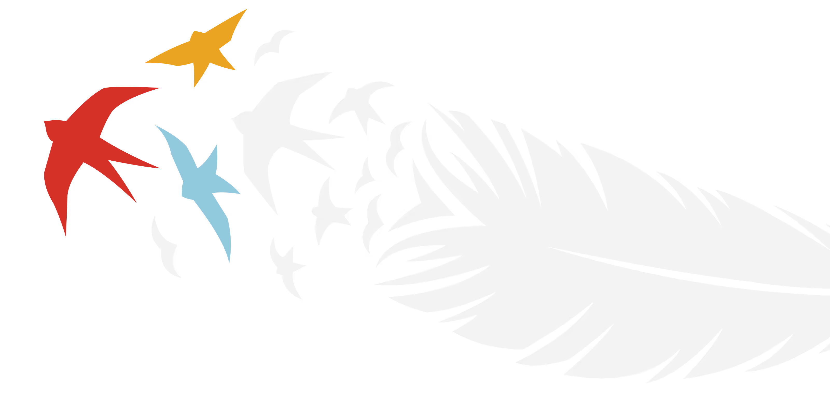 Birds and a feather