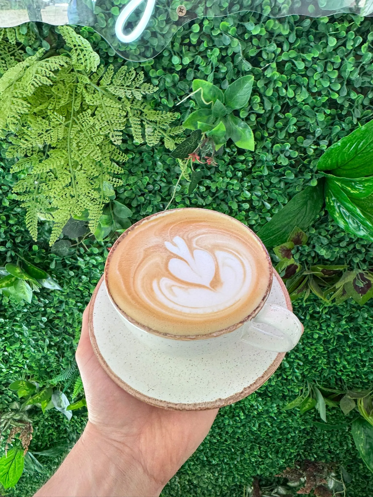 Wren Cafe