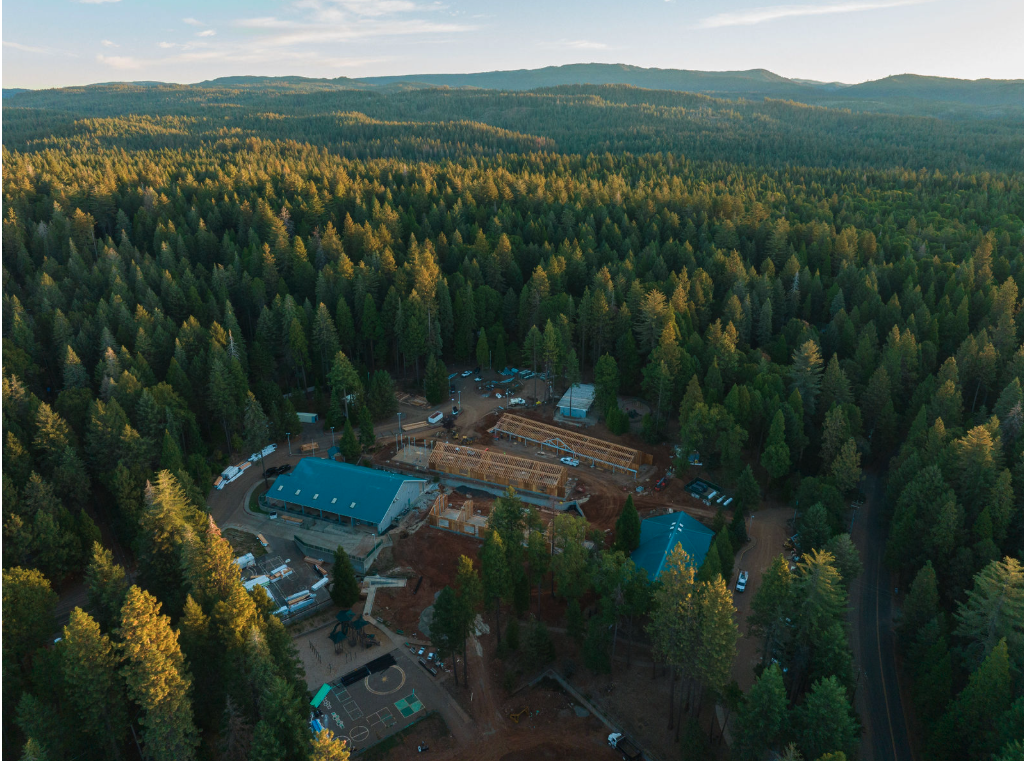 Photo by taro ohtani on Unsplash.