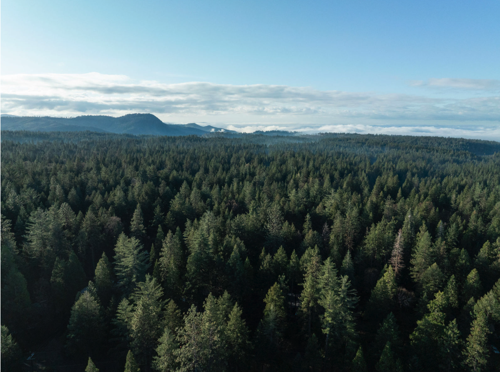 image of a city skyline with construction cranes
