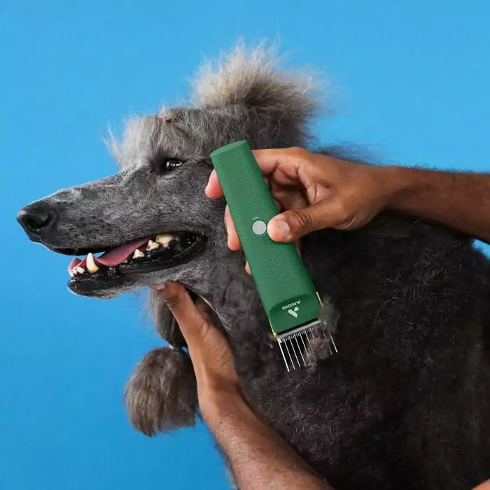 Andis Vida Cordless Clipper
